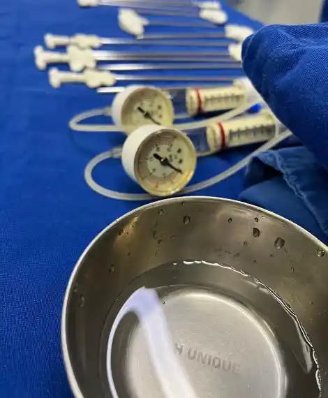 Coluna vertebral - anatomia e estrutura